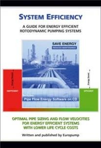 System Efficiency, A Guide for Energy Efficient Rotodynamic Pumping Systems